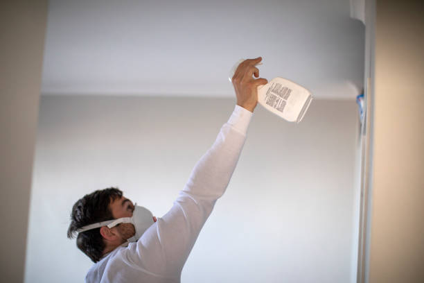 Best Attic Mold Remediation in Sonterra, TX