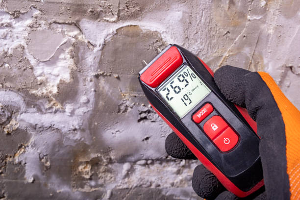 Best Residential Mold Remediation in Sonterra, TX
