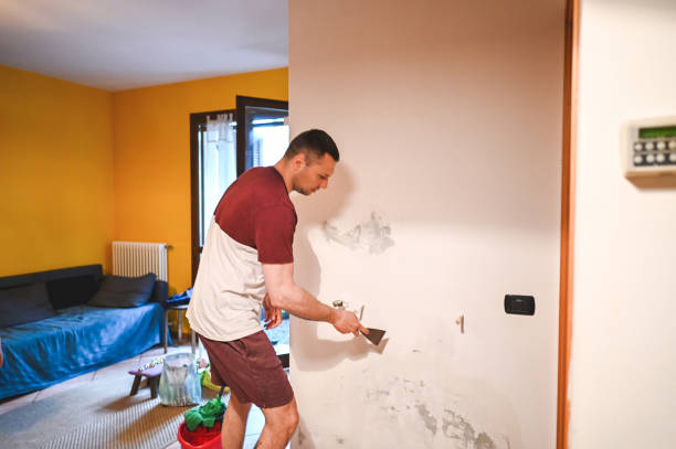 Best Black Mold Remediation in Sonterra, TX